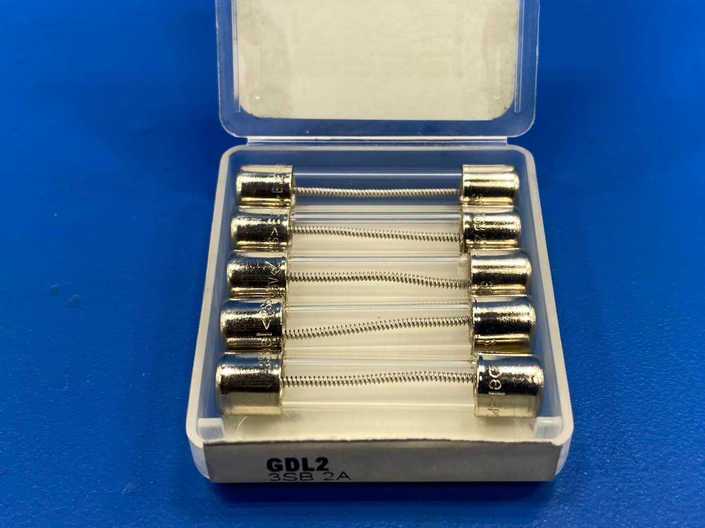 2 Amp Time Delay Glass Tube Fuse 250V Mersen 5x20mm GDL-2