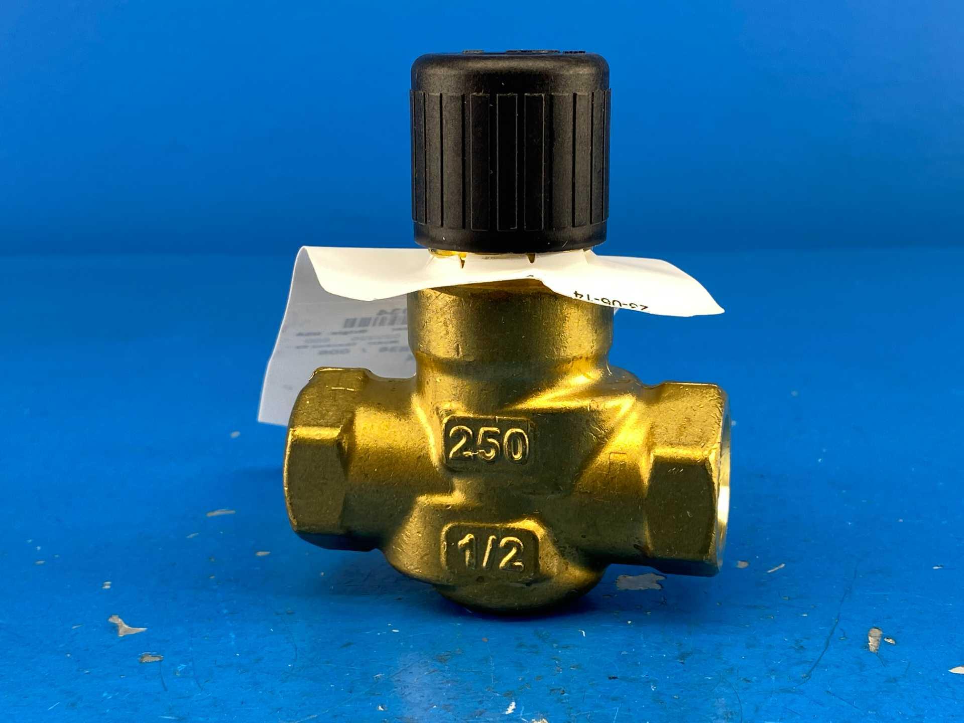 Siemens 599-02034 Powermite 599 2-Way Valves for MT Series Pneumatic or Electric Actuators CV= 1 3-8 PSI Spring Range